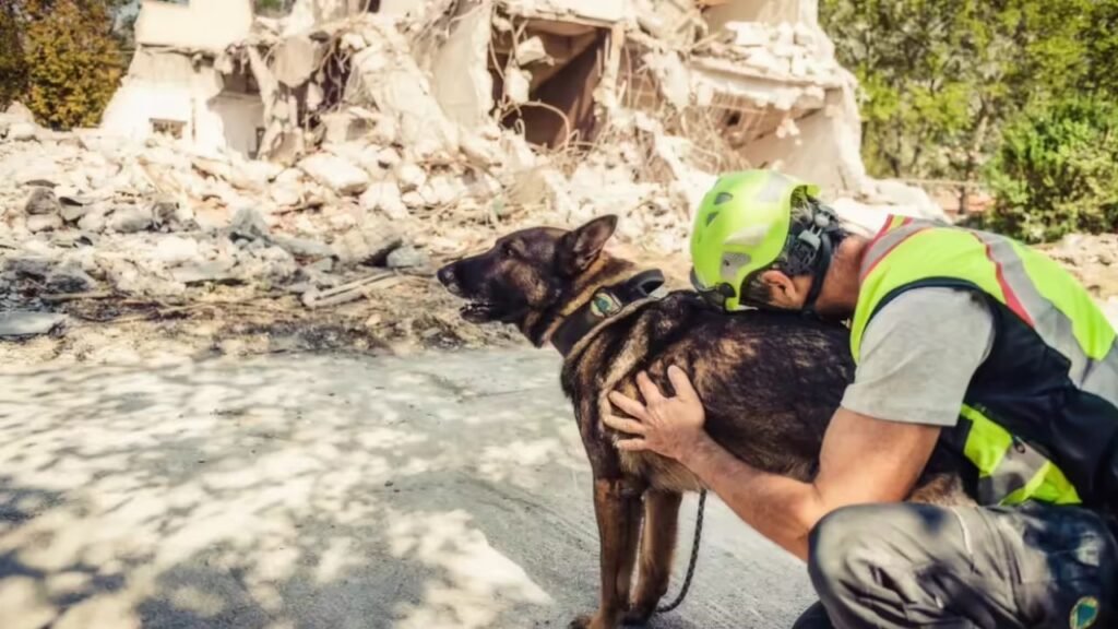 How Animals Sense Natural Disasters Before Humans