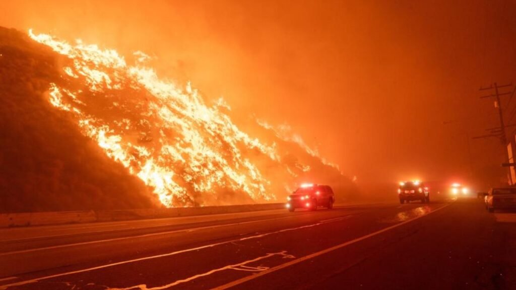 The Real Reason Wildfires Spread So Fast in Certain States