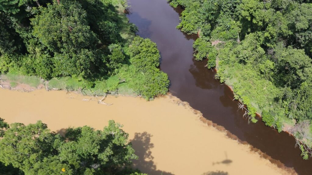 Why Some Rivers Suddenly Turn Brown After Heavy Rainfall