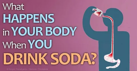 This Is What Happens To Your Gut When You Drink Soda